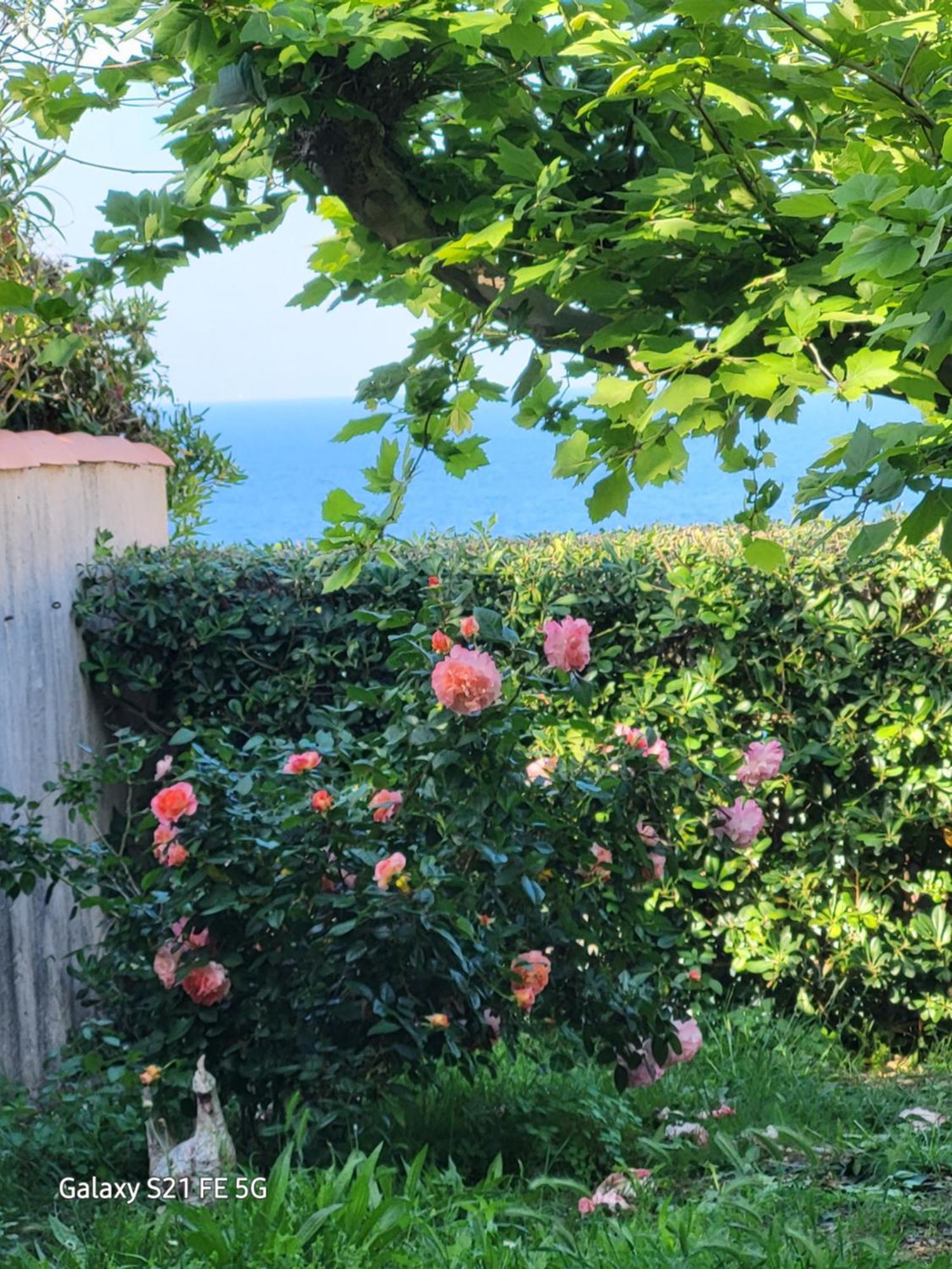 Chez Isabelle Bed and Breakfast Luri Buitenkant foto